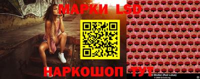 стаф Кимры