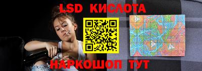 стаф Кимры