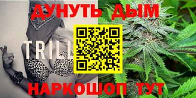 тгк Кингисепп