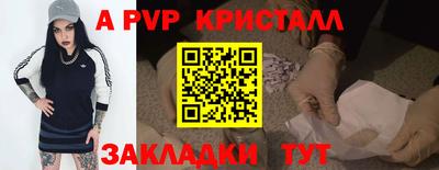 тгк Кингисепп