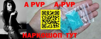 тгк Кингисепп