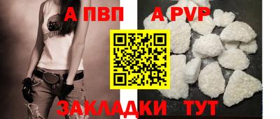 тгк Кингисепп